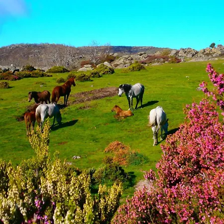Apartment Casa Sebastiana *