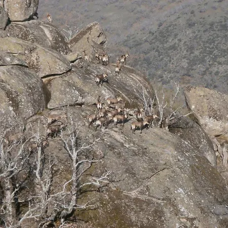Casa Sebastiana Losar De La Vera