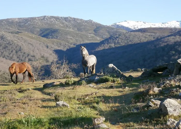 Casa Sebastiana * Losar De La Vera
