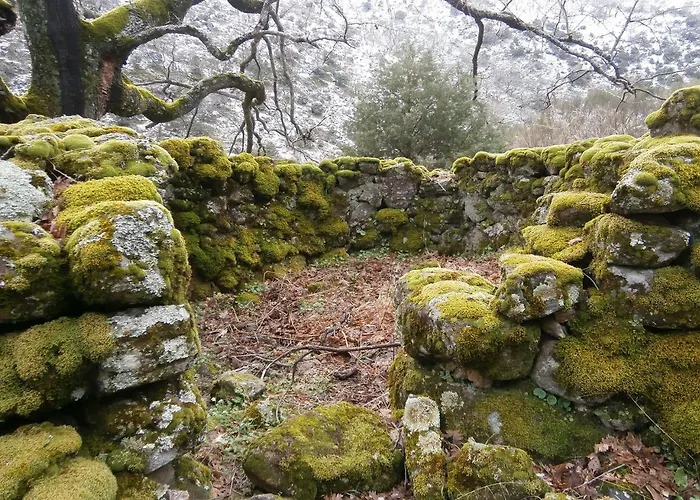 Casa Sebastiana Appartement *