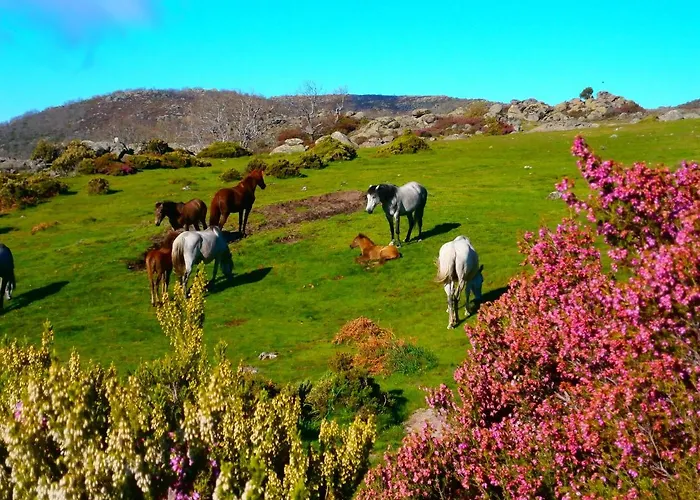 Appartement Casa Sebastiana *
