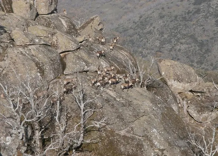 Casa Sebastiana לוסאר דה לה ורה